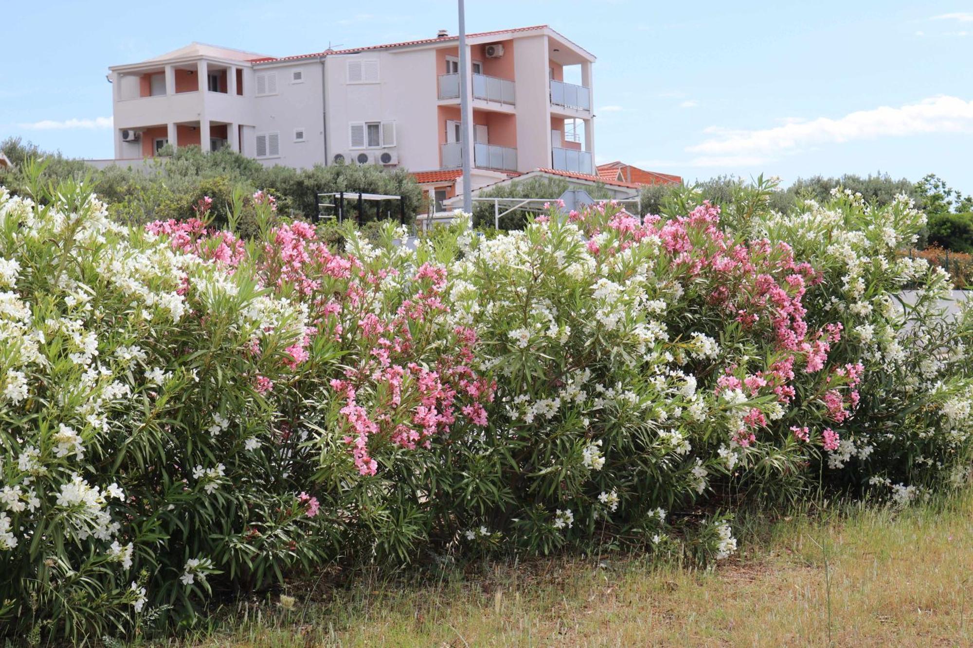 Apartmani Bilokapic พรีมอชเตน ภายนอก รูปภาพ